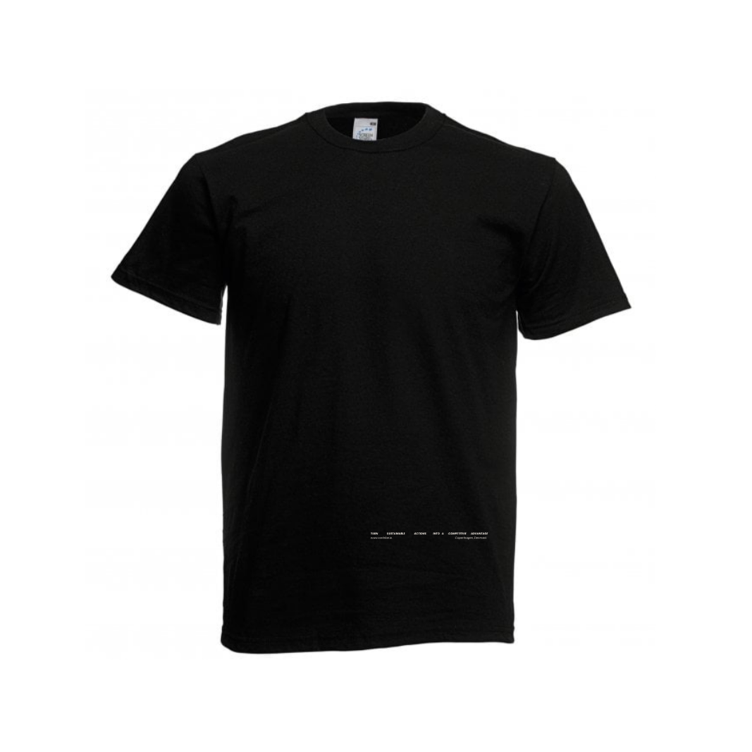 Slim Fit T-Shirt